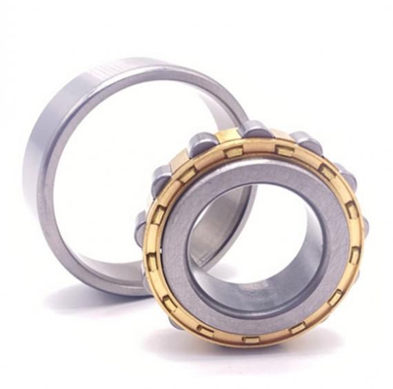 Фото Подшипник N202-EM (2202Л) CX POLAND