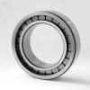 Фото Підшипник SL183013 FO Bearings