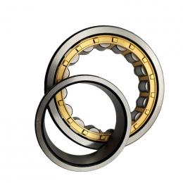 Подшипник NU1040M (32140Л) FO Bearings