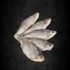 Foto Pescado seco Plotva sin eviscerar ~ 140g