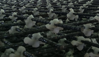 Ver todas las ventajas