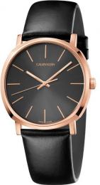 Мужские часы Calvin Klein K8Q316C3