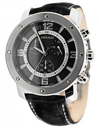 Мужские часы Sauvage SC35302S