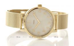 Мужские часы Timex T2N598