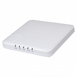 Ruckus ZoneFlex R300