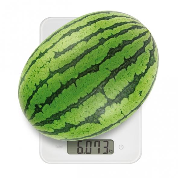 Фото 2 Цифровые кухонные весы ACCURA 15,0 кг L