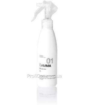 Фото Спрей для выравнивания структуры волос перед окрашиванием ERAYBA GAMMA G01 Equalizer Spray
