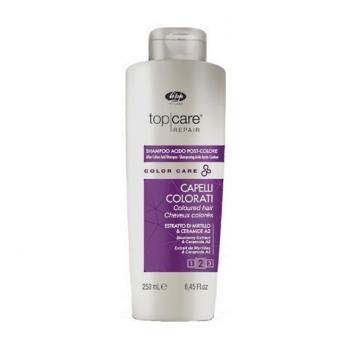 Фото Технический шампунь для стабилизации цвета волос с экстрактом черники Lisap Color Care After Color Acid Shampoo