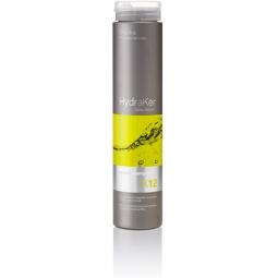 Шампунь для сухих и поврежженных волос с кератином и аргановым маслом Erayba HydraKer K12 Keratin Shampoo, 250 мл