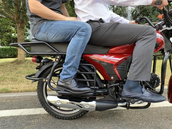 Фото Musstang МТ125 DINGO XL