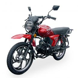 Musstang МТ125 DINGO XL