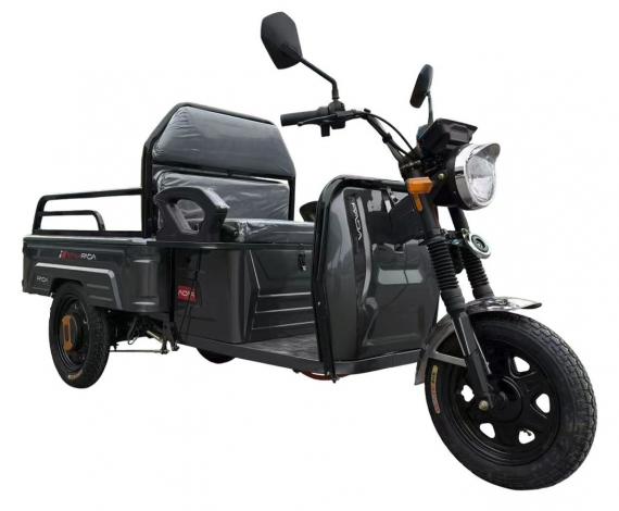 Фото вантажний FADA МУРАХА, 1000W, 1000W