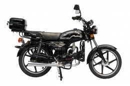 Musstang Alfa MT125-2