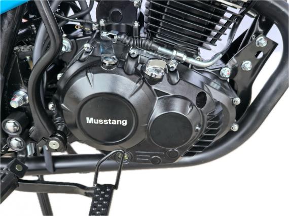 Фото Musstang Region MT150