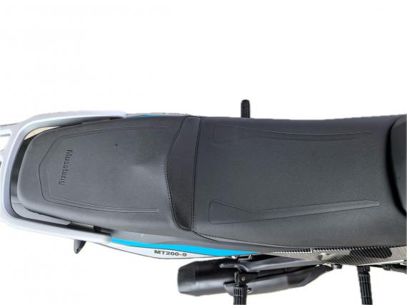 Фото Musstang Region MT150