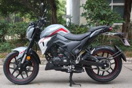Lifan SR220