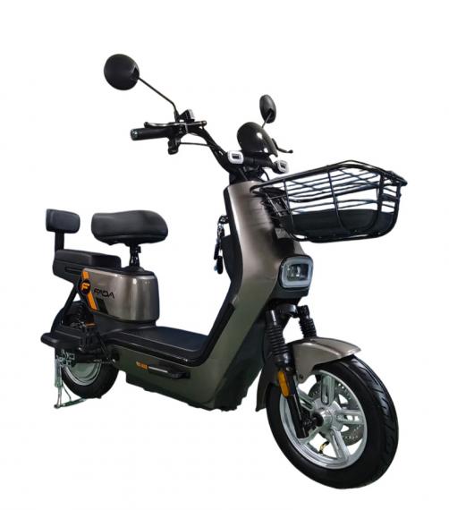 Фото FADA CLASSi