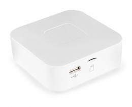 Активний бездротовий програвач SKY SOUND BT-230 Bluetooth (2*30W)