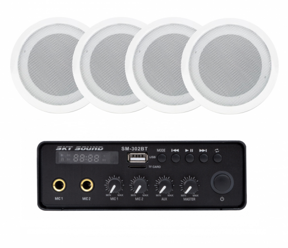 Фото Акустичний комплект SKY SOUND SMS-3024