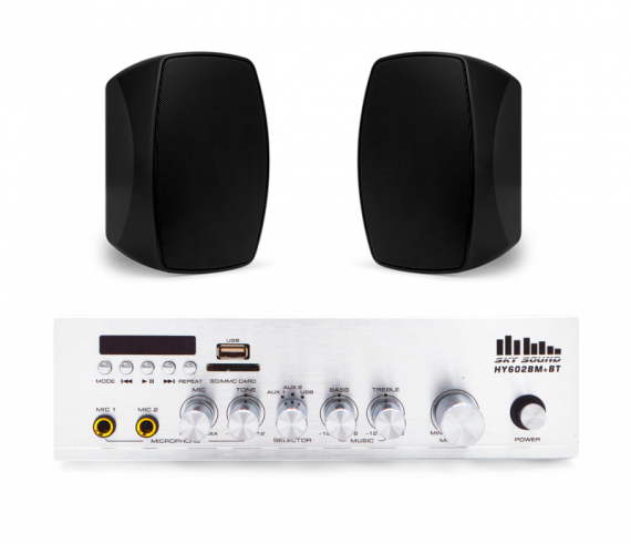 Фото Акустичний комплект SKY SOUND WMS-4022 BLACK