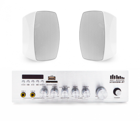 Фото Акустичний комплект SKY SOUND WMS-4022 WHITE