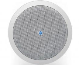 Стельовий динамік RCF PL6X