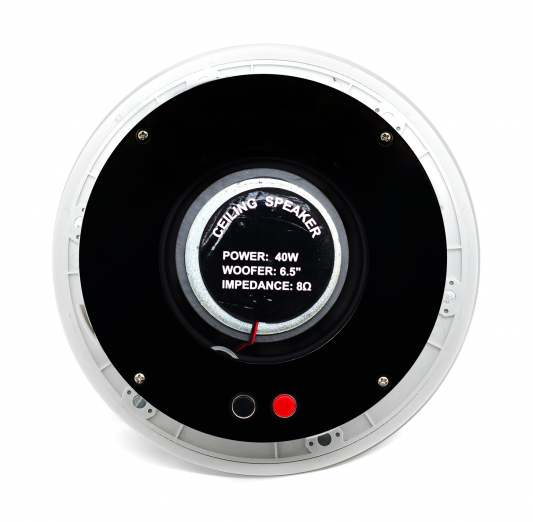 Фото Стельовий динамік SKY SOUND FLC-755 (Hi-Fi)