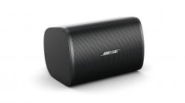 Настінна акустика Bose DesignMax DM3SE