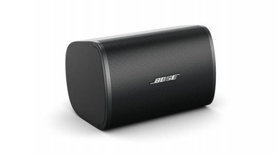 Фото Настінна акустика Bose DesignMax DM3SE