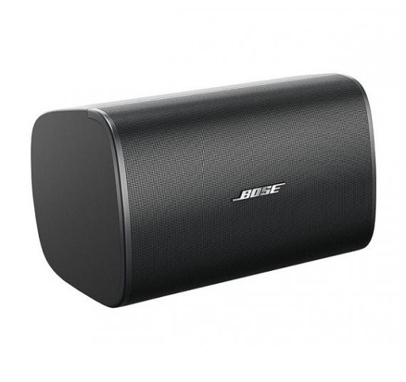 Фото Настінна акустика Bose DesignMax DM8S