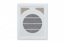 Настінна акустика SKY SOUND NS-10TW