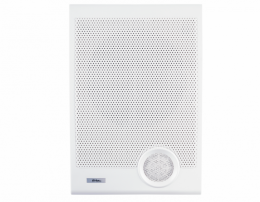 Настінна акустика SKY SOUND NS-20W/TW