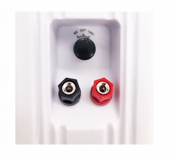 Фото Настінна акустика SKY SOUND NS-30W/TW