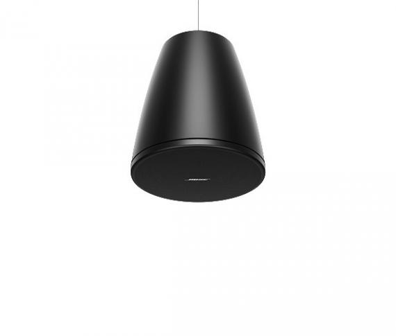 Фото Підвісна колонка Bose DesignMax DM5P