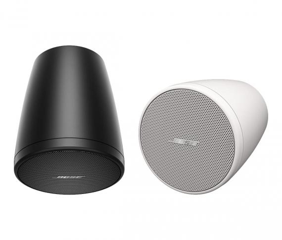 Фото Підвісна колонка Bose FreeSpace FS2P