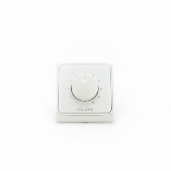 Фото Регулятор гучності SKY SOUND P-10W (10W/100V)