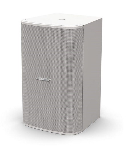 Фото Сабвуфер Bose DesignMax DM10S-Sub