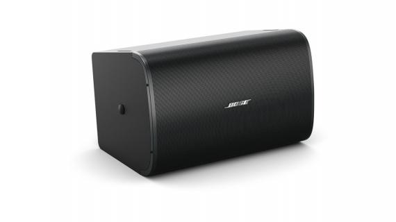 Фото Сабвуфер Bose DesignMax DM10S-Sub