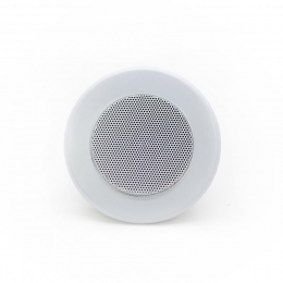 Стельовий динамік SKY SOUND TS-1010TW