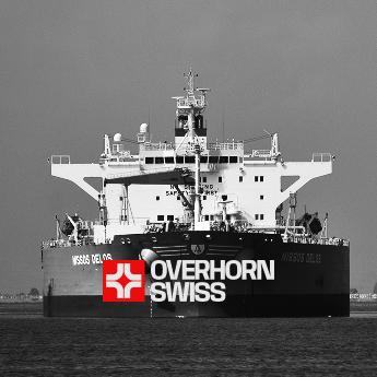 Expert Solutions for Vessel  Chartering and Management 2