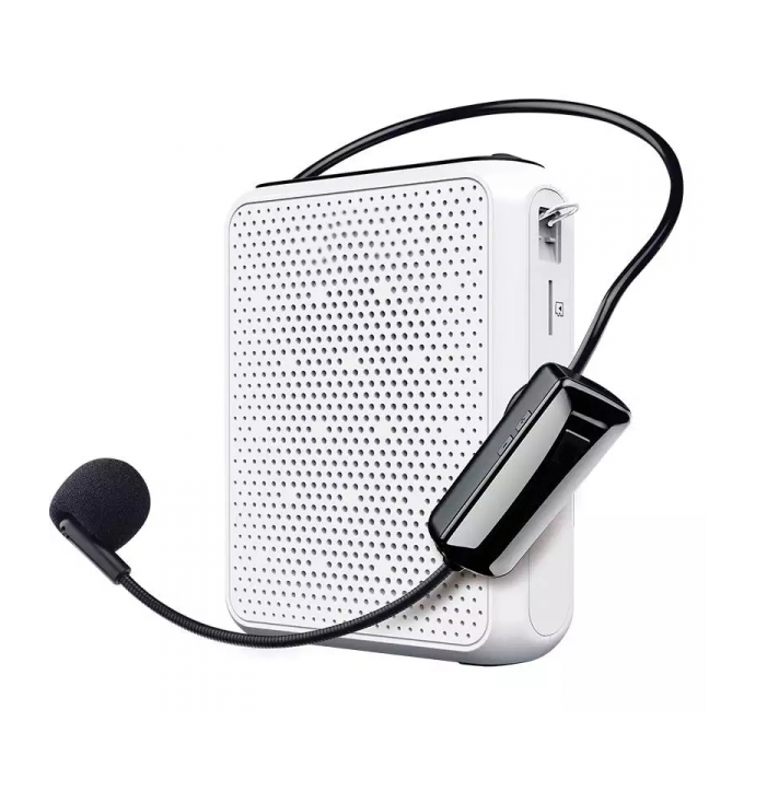 Аудиосистемы для гидов