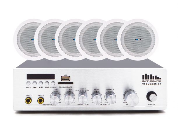 Фото Акустический комплект SKY SOUND CSY-1046 L