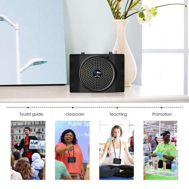 Фото Громкоговоритель для гида SKY SOUND GID-25W (MP3,FM) L
