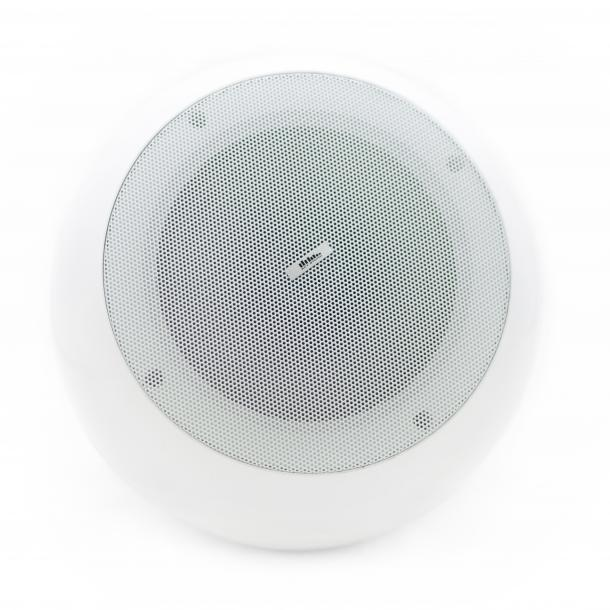 Фото Подвесной динамик SKY SOUND BL-20W L