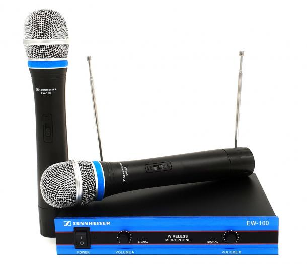 Фото Радиомикрофон SKY SOUND EW100 L
