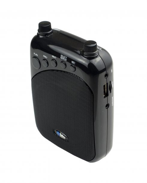 Фото Громкоговоритель для гида SKY SOUND GID-35W (MP3,FM,Bluetooth) L