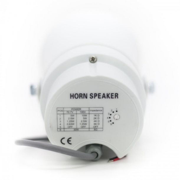 Фото Всепогодный громкоговоритель SKY SOUND RS-710W/TW L