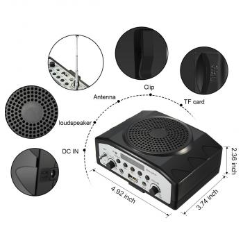Громкоговоритель для гида SKY SOUND GID-25W (MP3,FM)