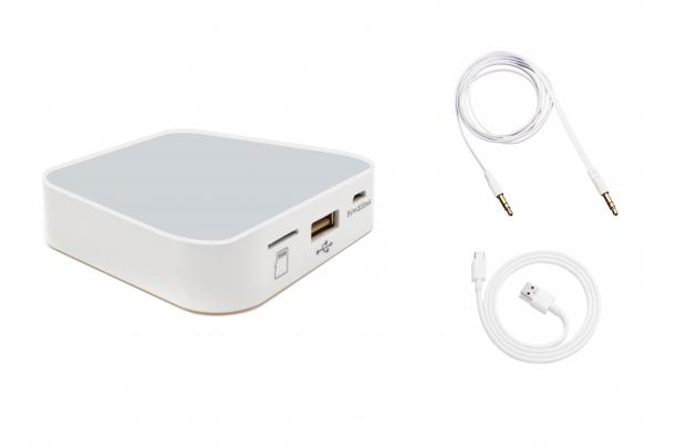 Фото Wi-Fi проигрыватель SKY SOUND WI-FI CASE PRO L