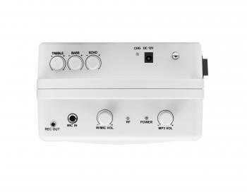 Громкоговоритель для гида SKY SOUND GID-60W (MP3,FM,Bluetooth)